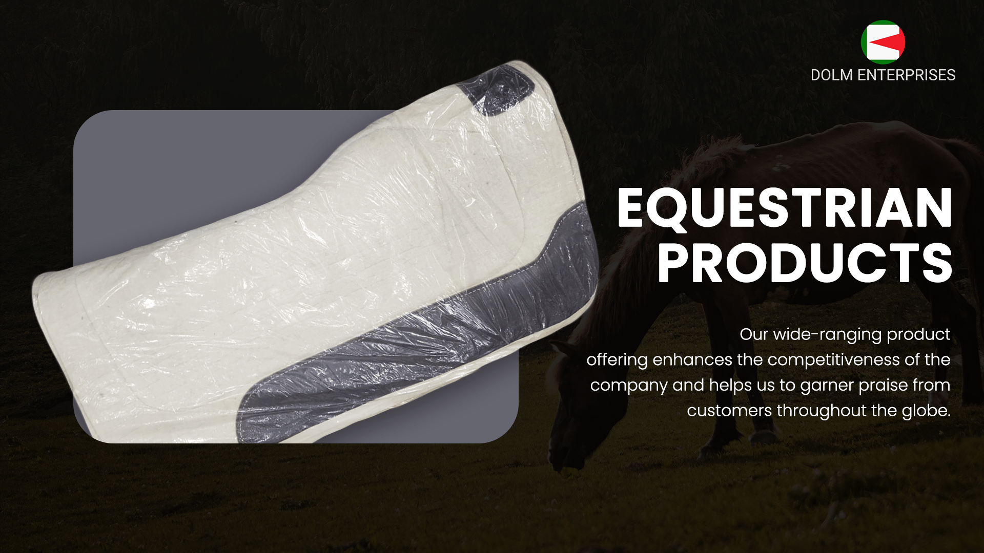 DOLM Equestrian Products | High Quality Products